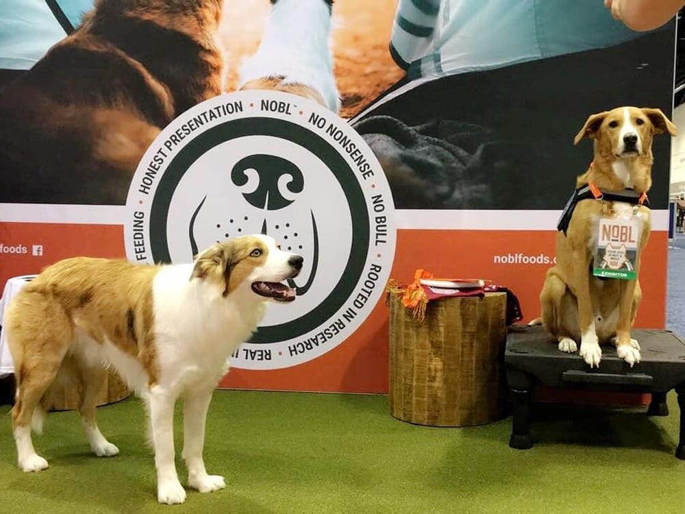 Bargain Avenue Animals & Pets - An Overview