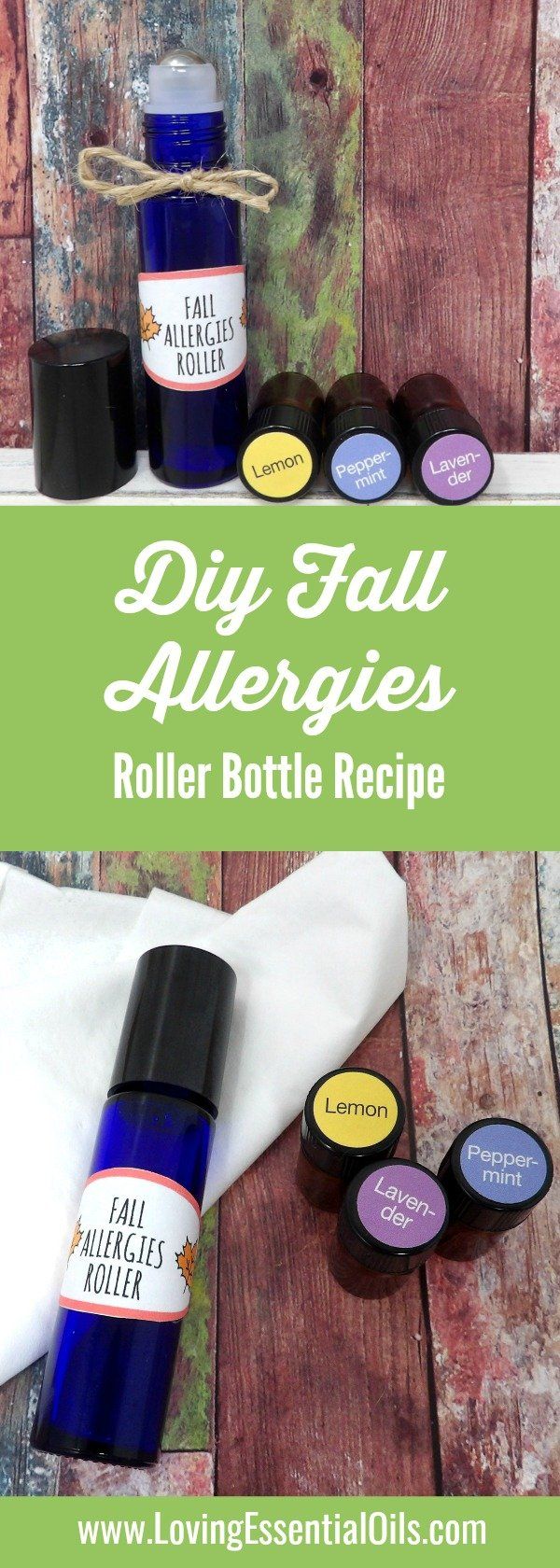 Indicators on Essential Oil Roller Blends You Should Know
