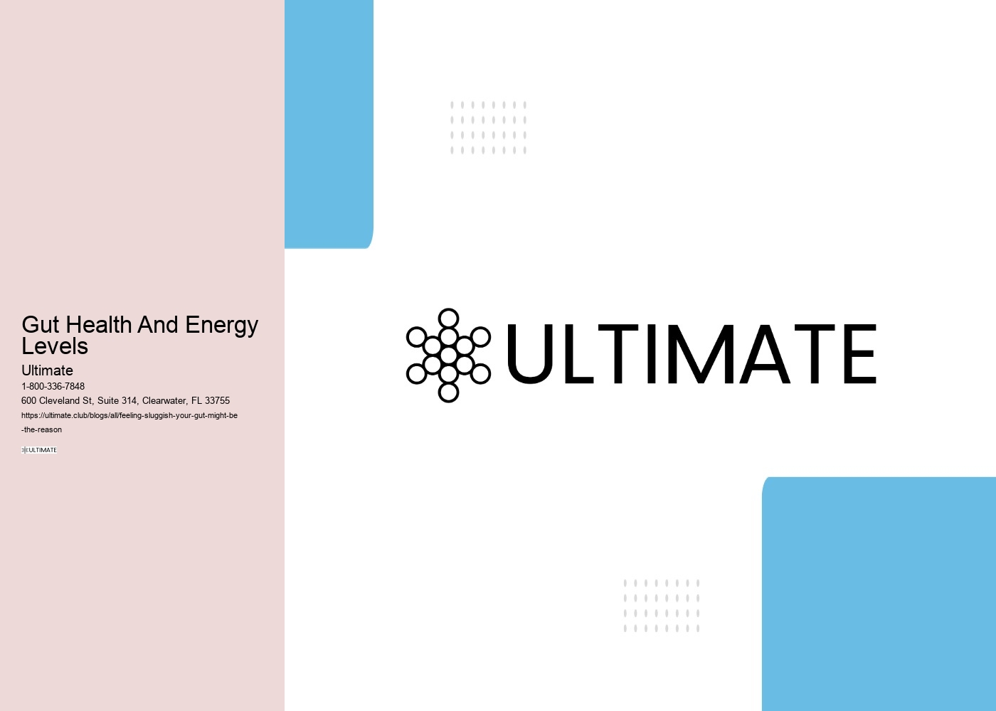 Gut Health And Energy Levels