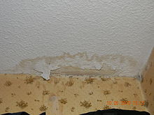 The Only Guide for Drywall Repair Corpus Christi