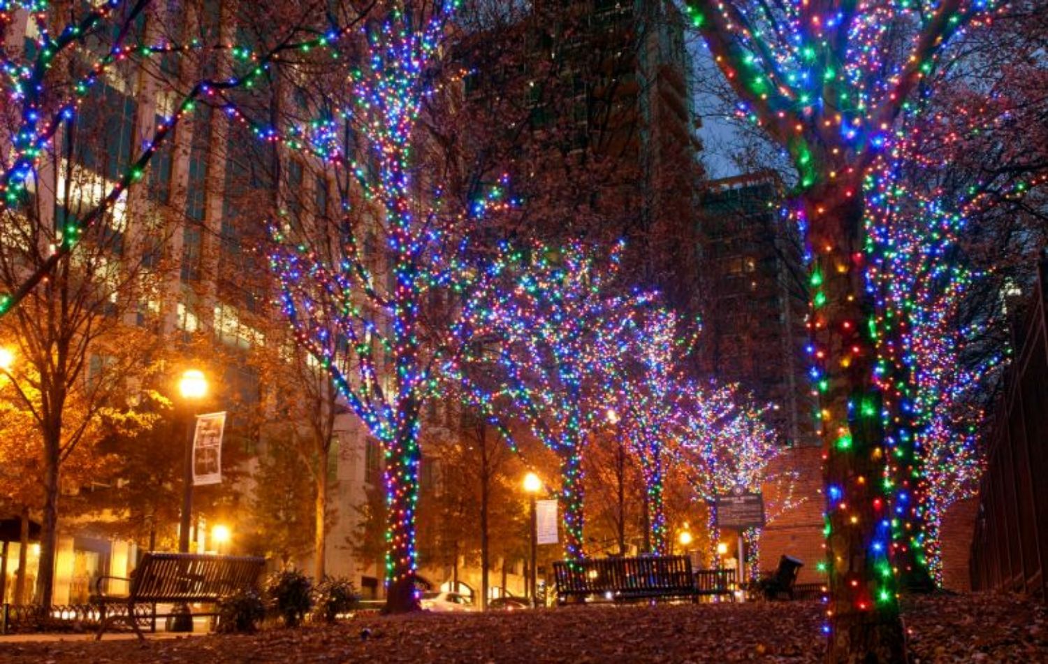 What Does Christmas Light Installation Mean?