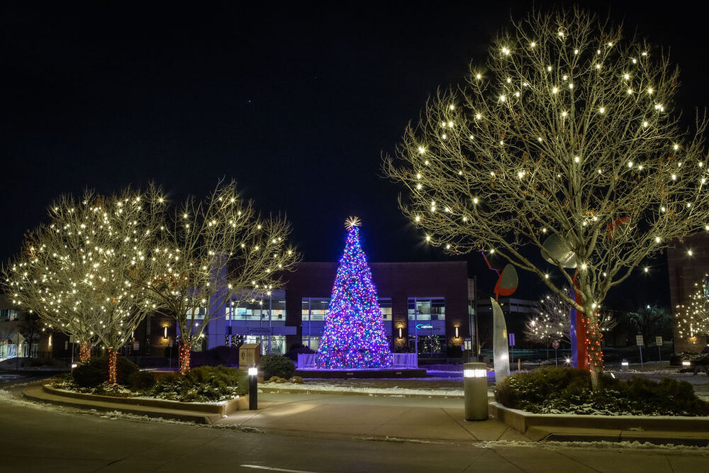 A Biased View of Christmas Light Installation