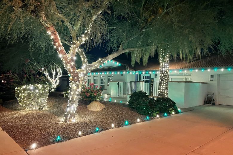 The Facts About Christmas Light Installation Uncovered