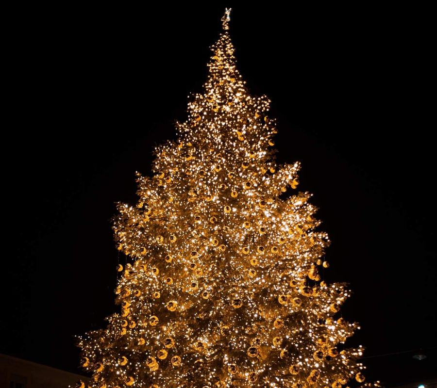 The Only Guide to Christmas Light Installation