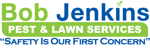 San Antonio Pest Control