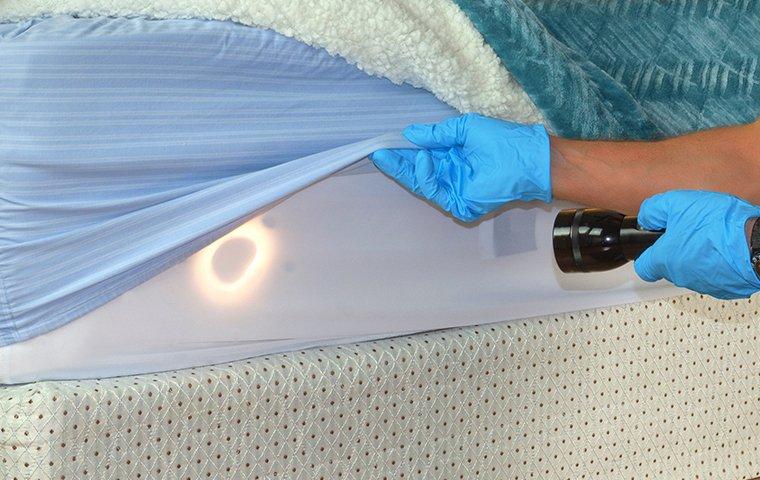The 2-Minute Rule for Bed Bug Treatment
