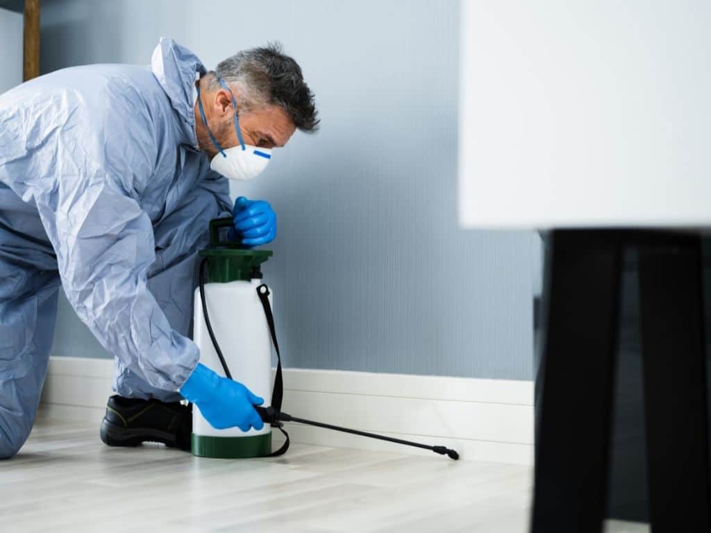 Indicators on Bed Bug Treatment You Should Know