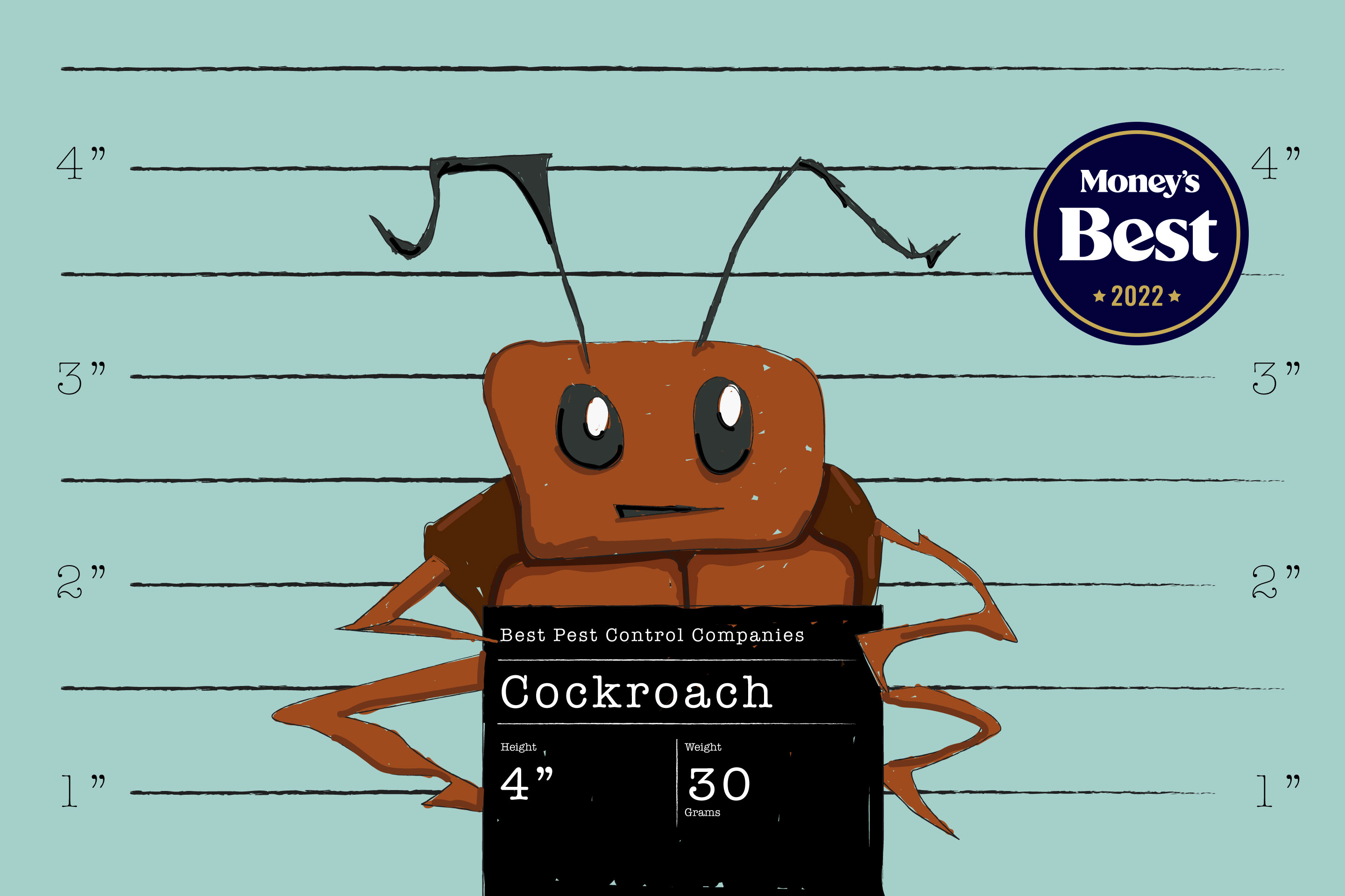 The Facts About Guardianpest Rodent Control Uncovered