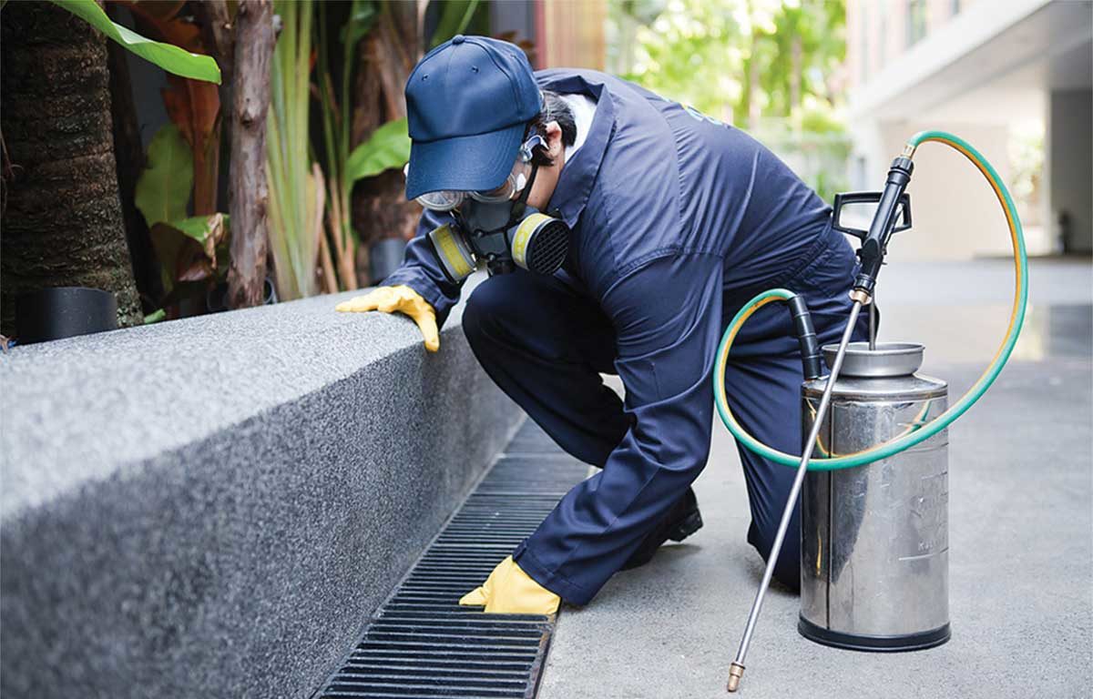 All about Guardianpest Rat Control