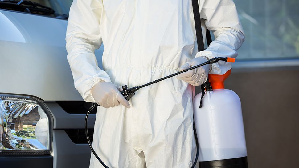 Pest Controls For Rat Utah