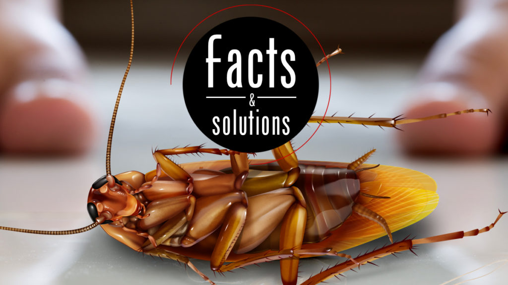 Some Known Facts About Guardianpest Cockroach Control.