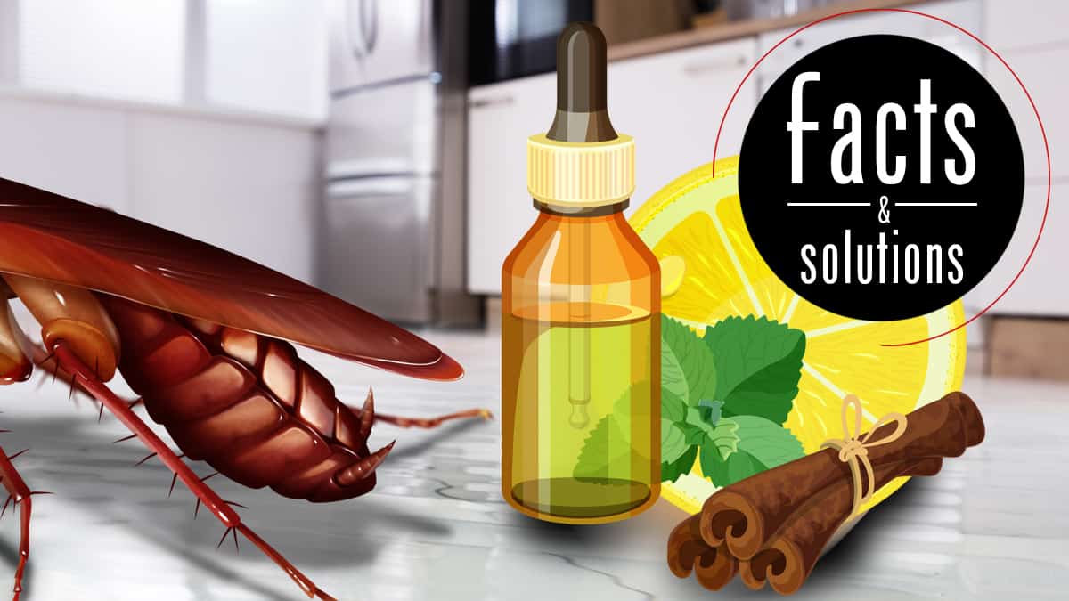 How Guardianpest Cockroach Control can Save You Time, Stress, and Money.