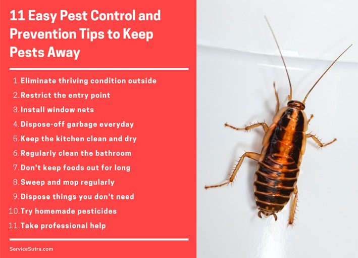 See This Report on Pest Control Salt Lake City