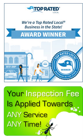 Some Known Details About Pest Control Salt Lake City 