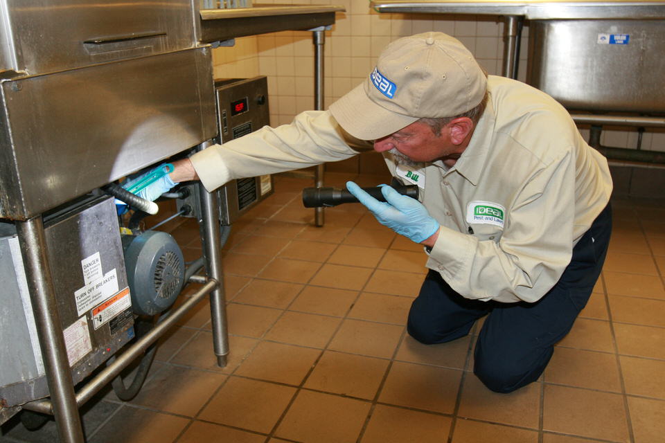 Some Known Details About Pest Control Ogden Utah 