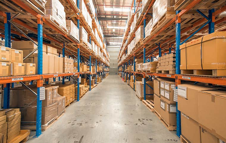 Pest Control Ogden Utah for Dummies