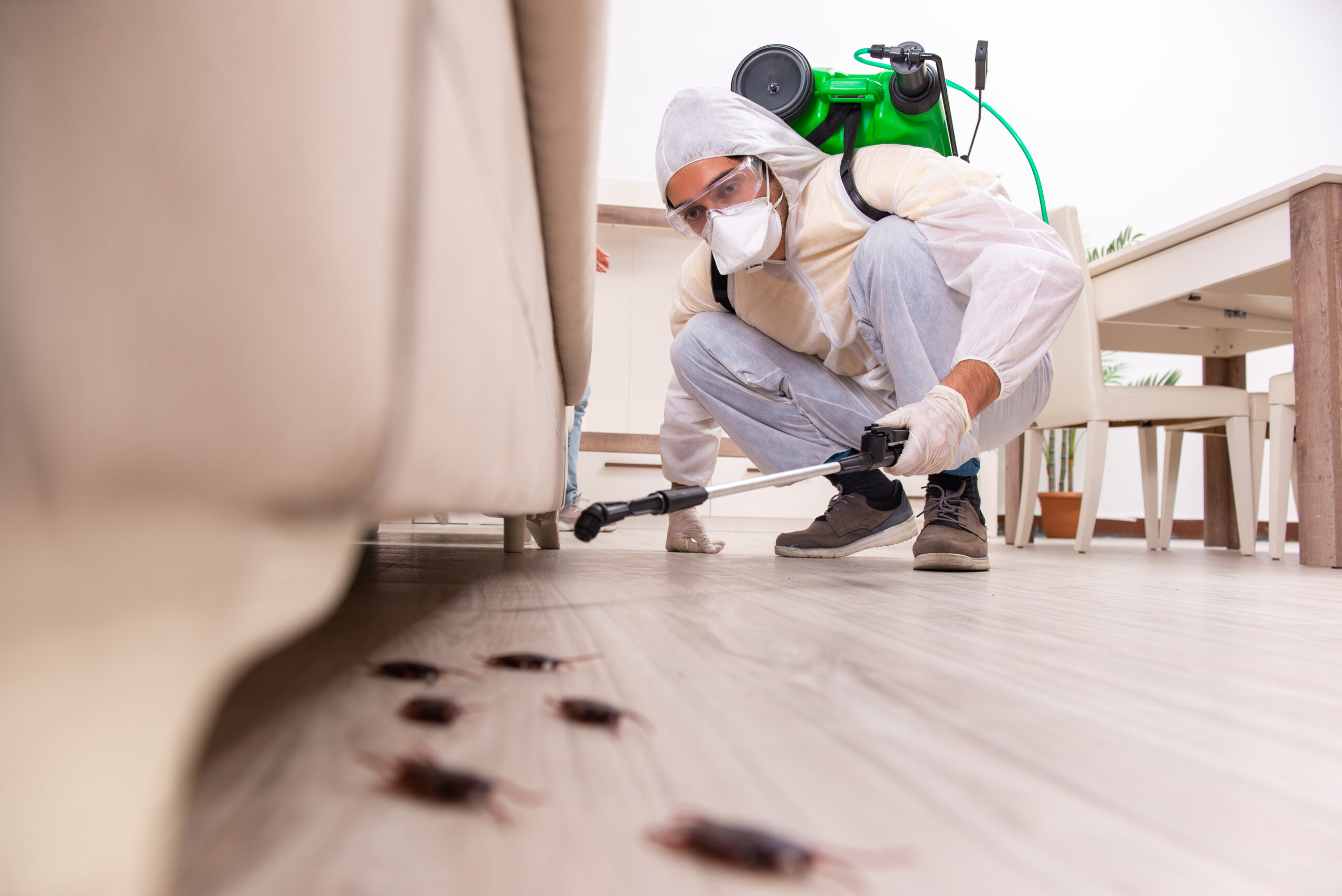 Pest Control Ogden Utah Fundamentals Explained
