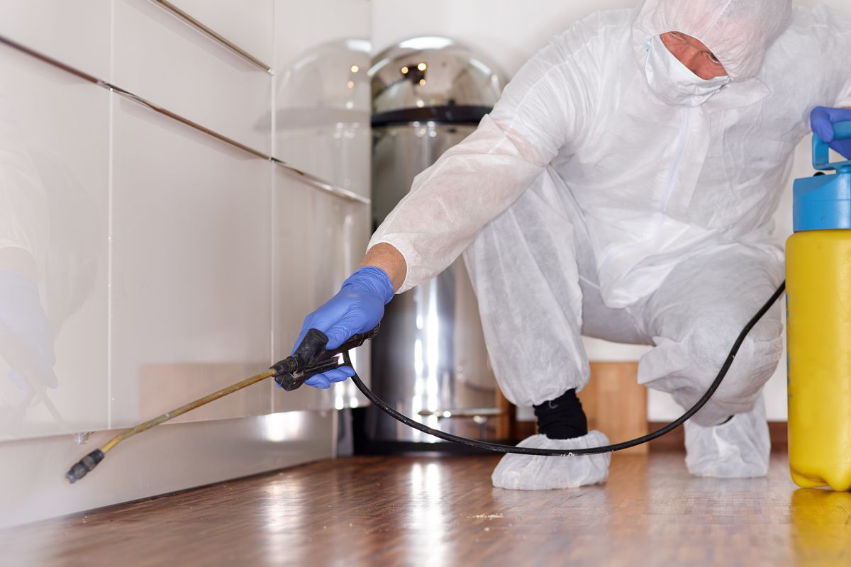 Pest Control Orem Utah Fundamentals Explained