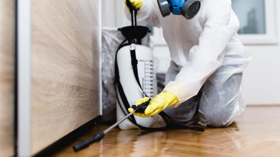 Top Guidelines Of Pest Control Orem Utah
