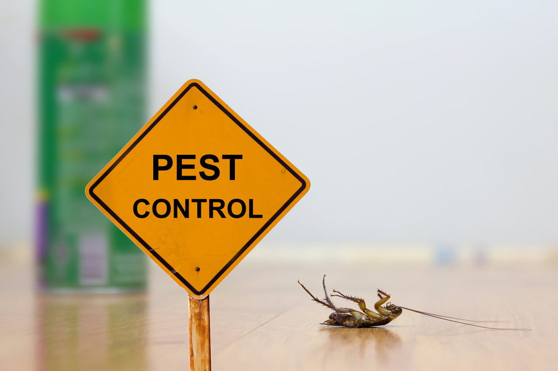 Pest Control Orem Utah Can Be Fun For Anyone
