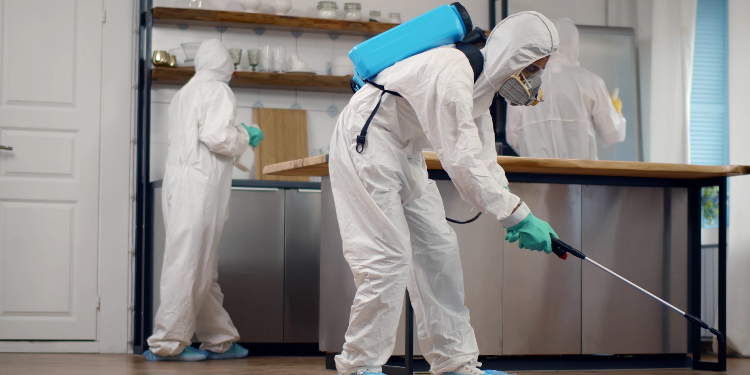 The Pest Control Utah County Ideas