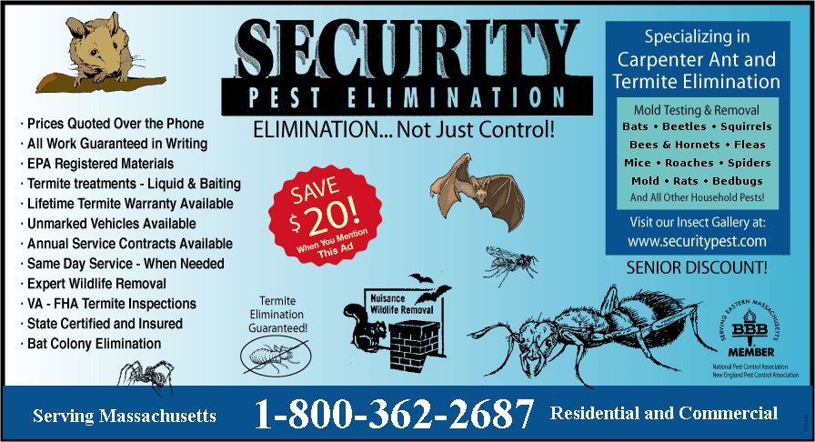 6 Easy Facts About Pest Control Utah County Explained