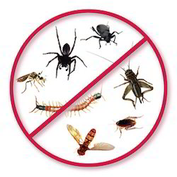Pest Control Davis County Can Be Fun For Anyone