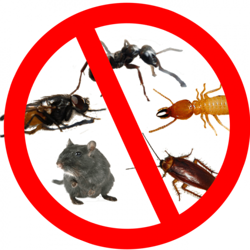 Not known Incorrect Statements About Pest Control Davis County 