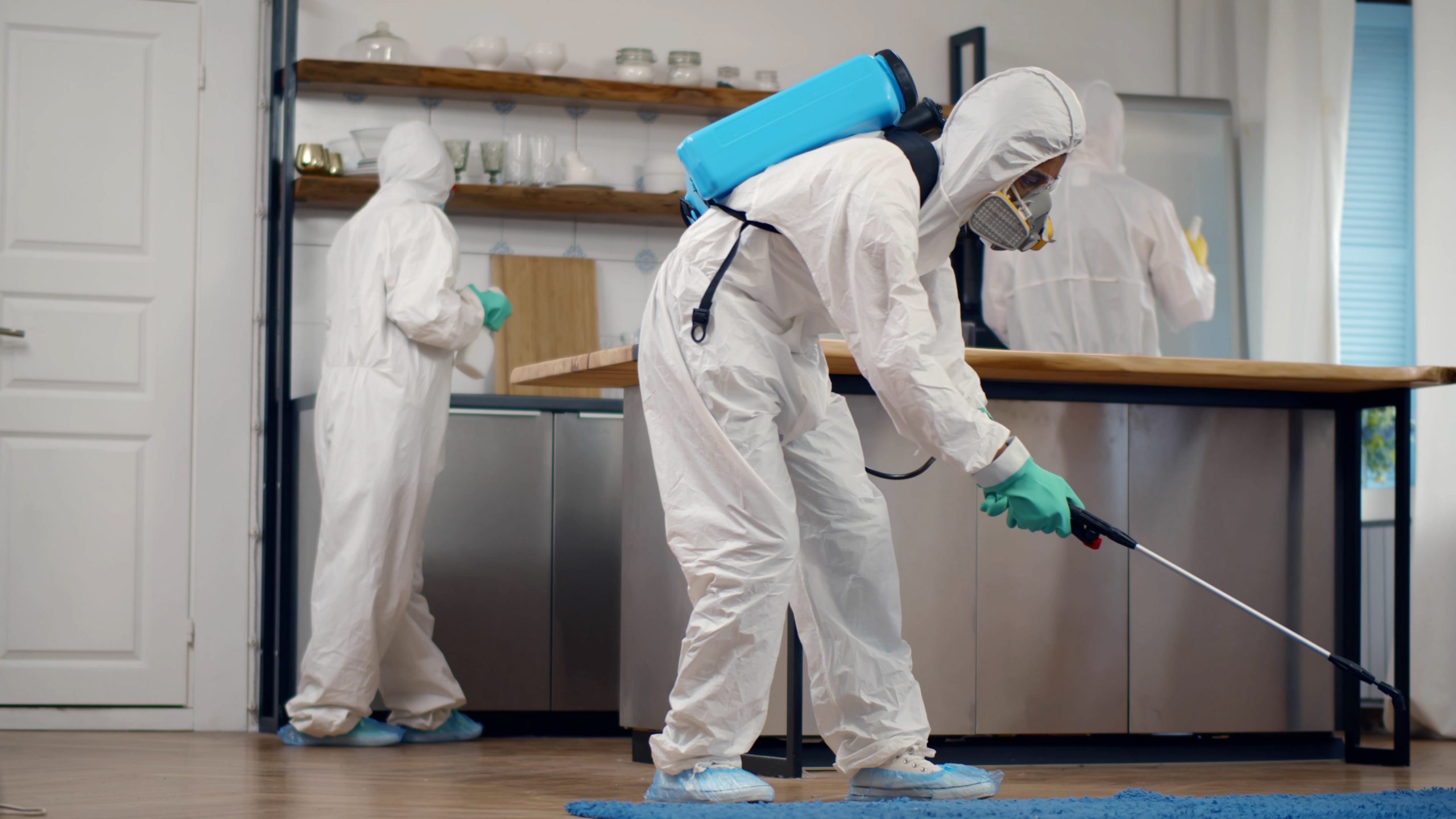 The Basic Principles Of Pest Control Wastatch County 