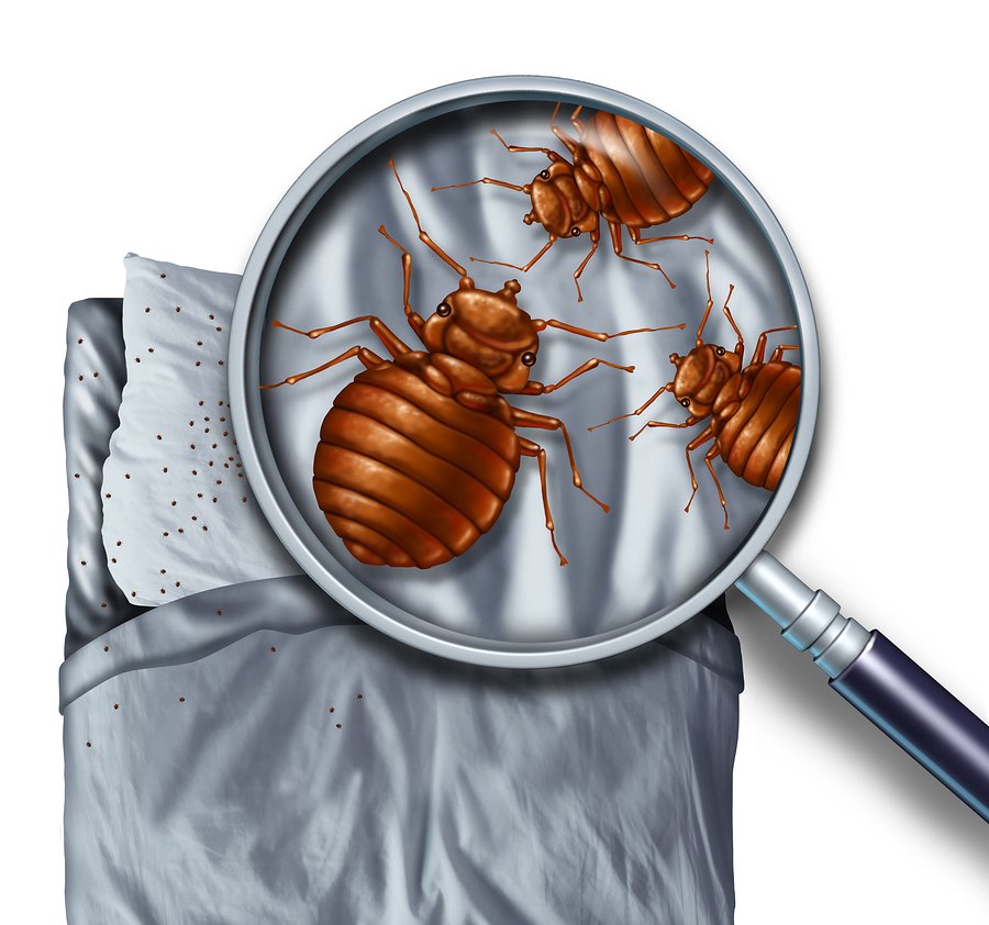 Ensure Proper Equipment Functionality