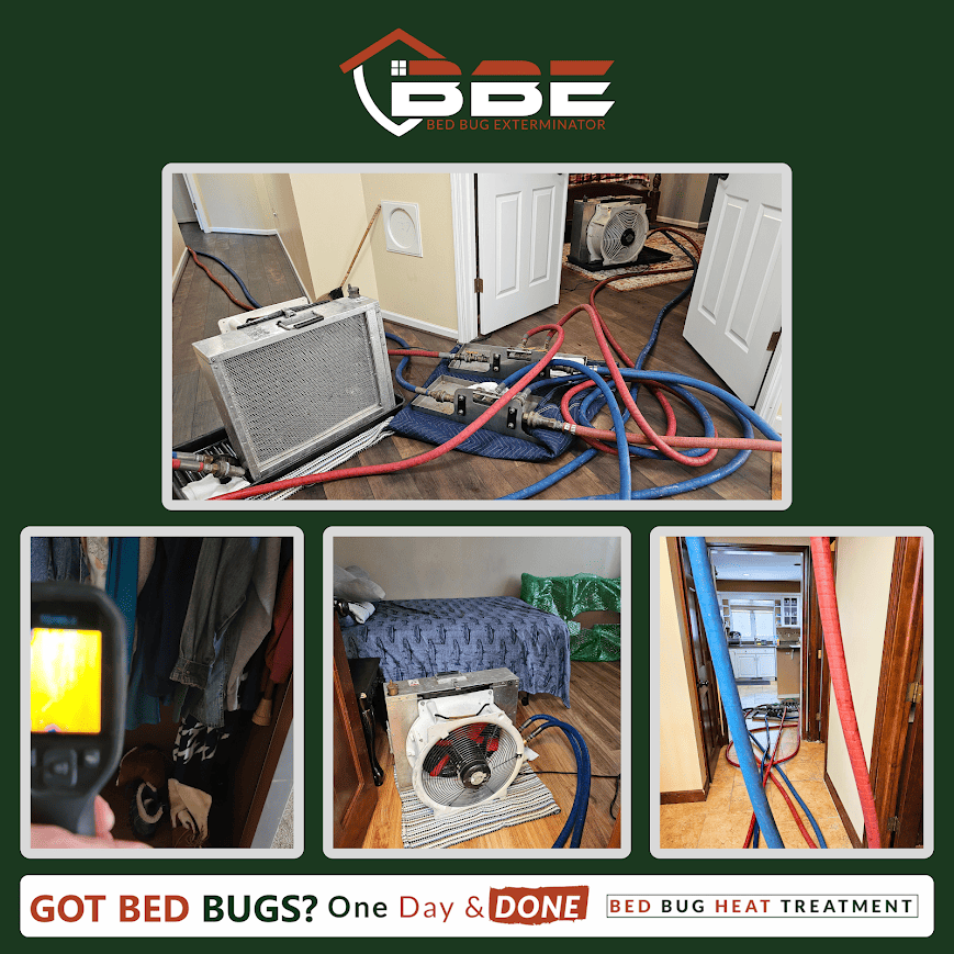How Heat Treatment Works to Eliminate Bed Bugs
