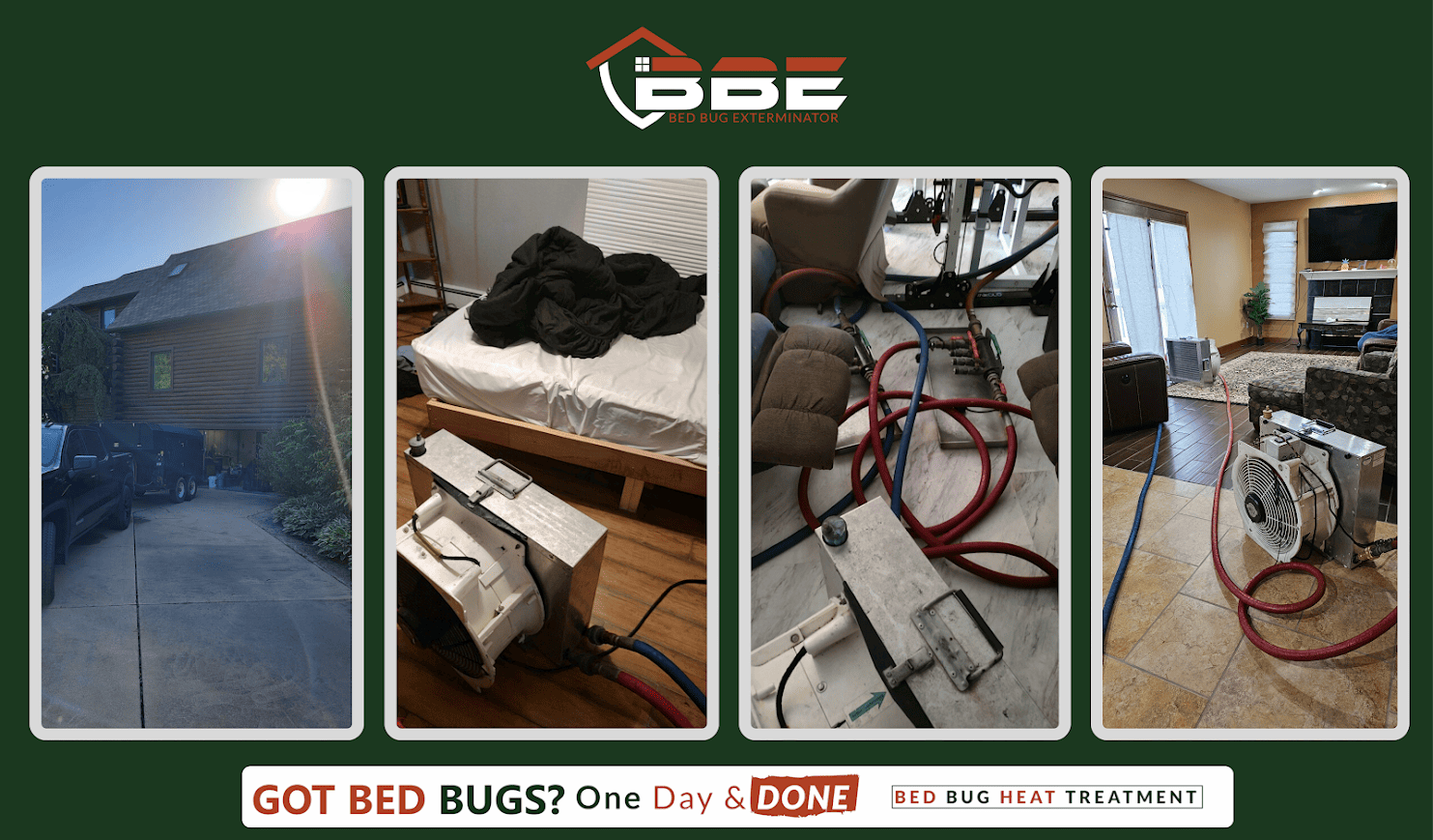 The Importance of Heat Treatment for Bed Bugs