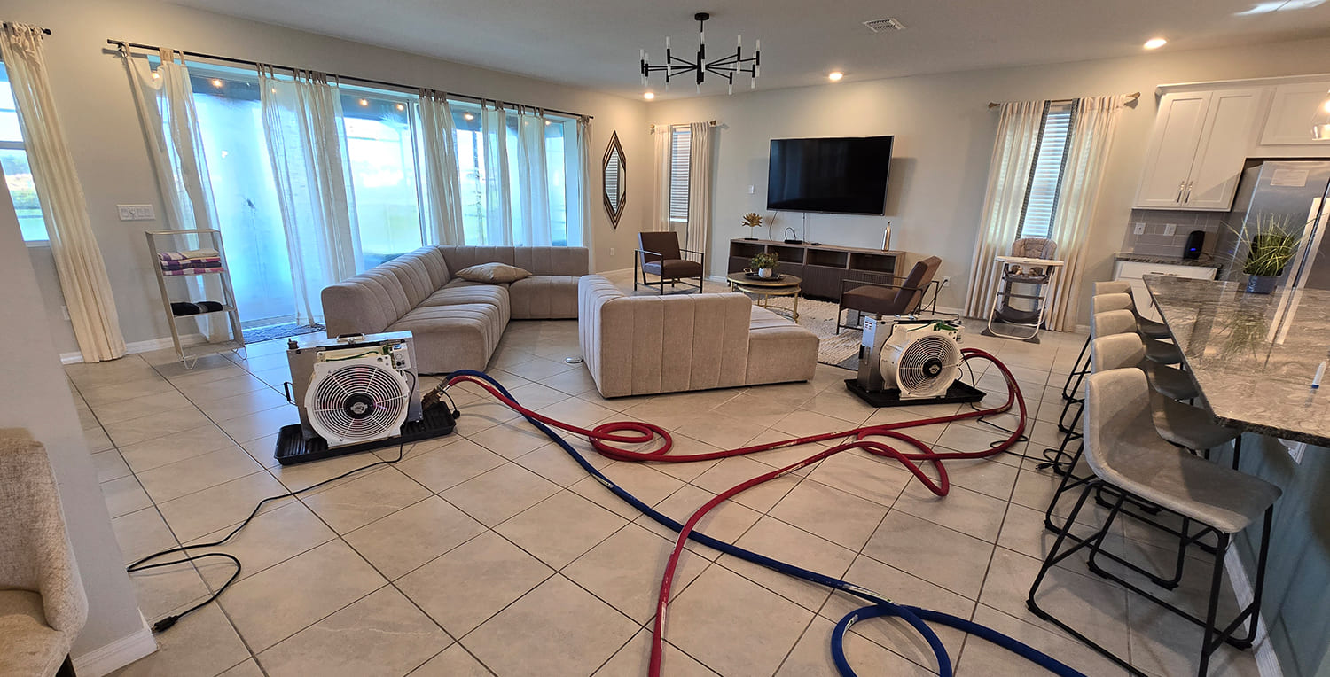 Debunking Myths: What You Should Know About Heat Treatment for Bed Bugs