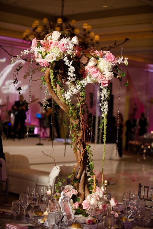 The 4-Minute Rule for Orlando Wedding Photographer