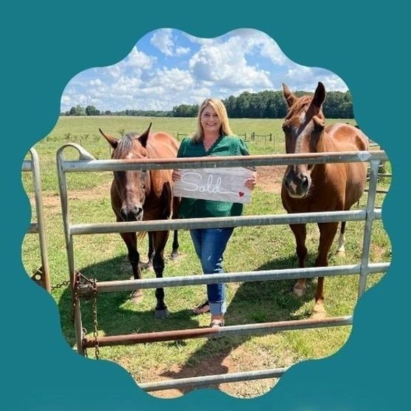 Some Known Questions About Real Estate Agent In Athens, Ga.