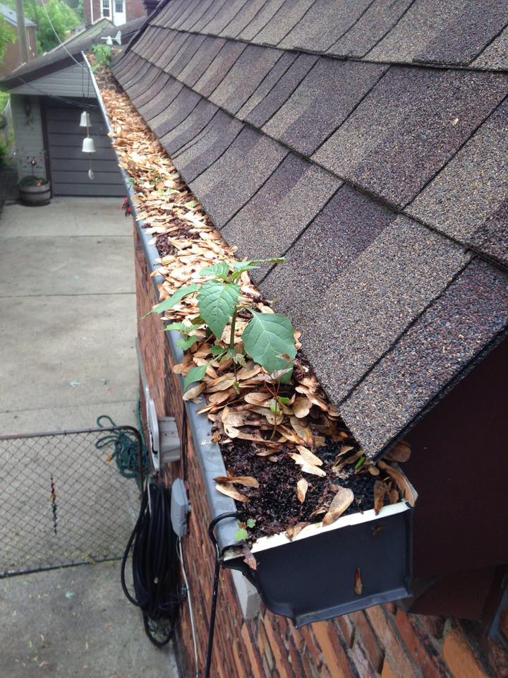 The smart Trick of Gutter Cleaning That Nobody is Discussing