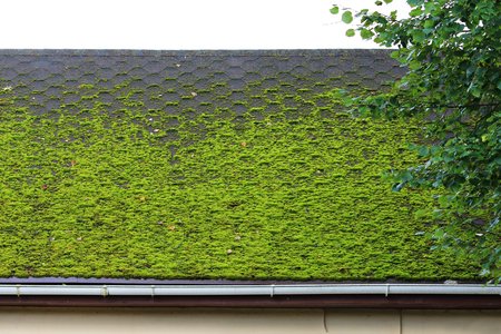 Not known Details About Roof Moss Removal 