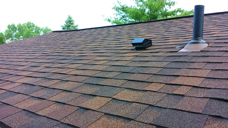 How Roof Moss Removal can Save You Time, Stress, and Money.