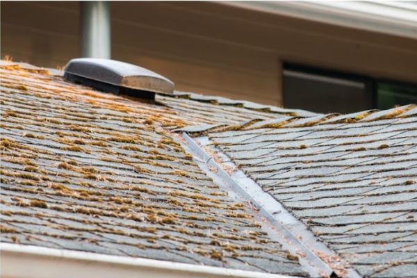 Top Guidelines Of Roof Moss Removal
