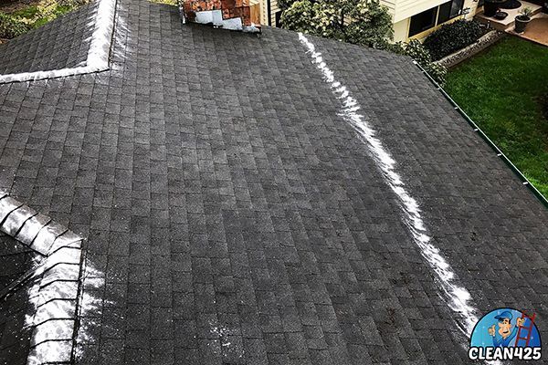 Things about Roof Moss Removal