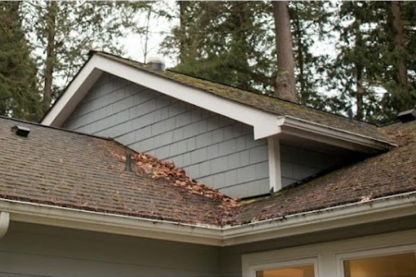 The Of Roof Moss Removal