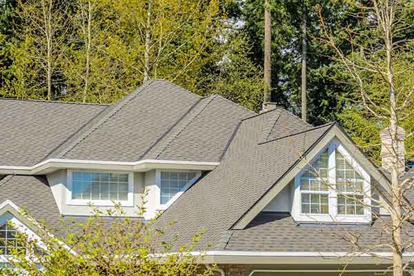 The 7-Minute Rule for Roof Moss Removal