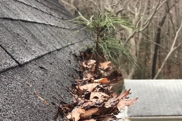Getting My Gutter Cleaning To Work