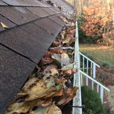 Some Known Details About Gutter Cleaning 