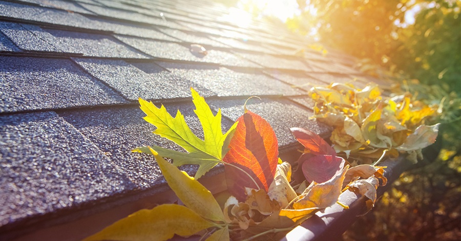 The Buzz on Gutter Cleaning
