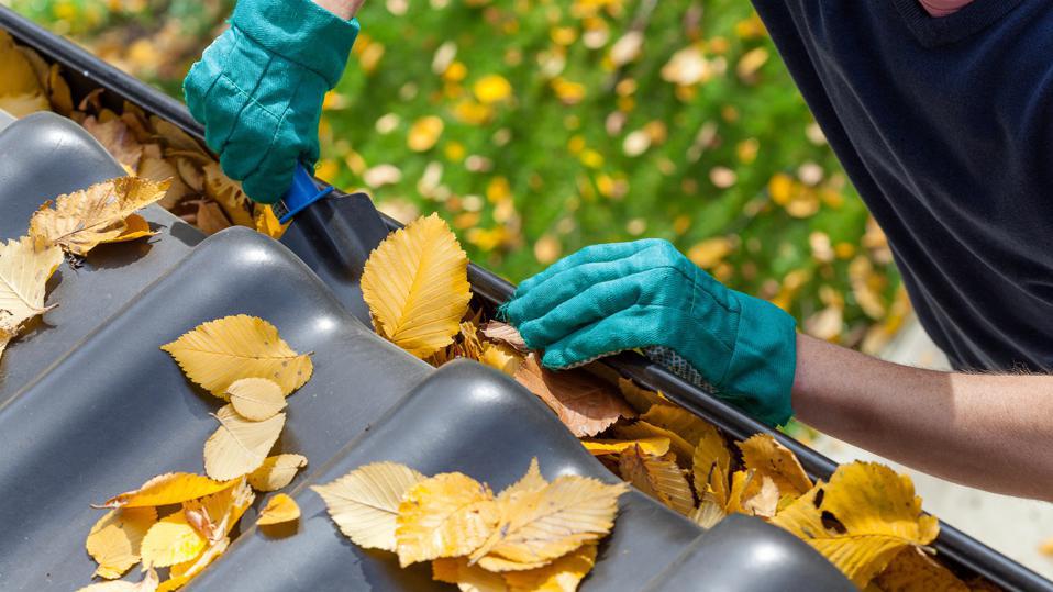 More About Gutter Cleaning