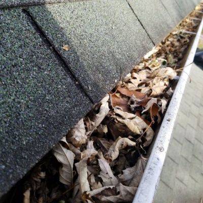 More About Gutter Cleaning