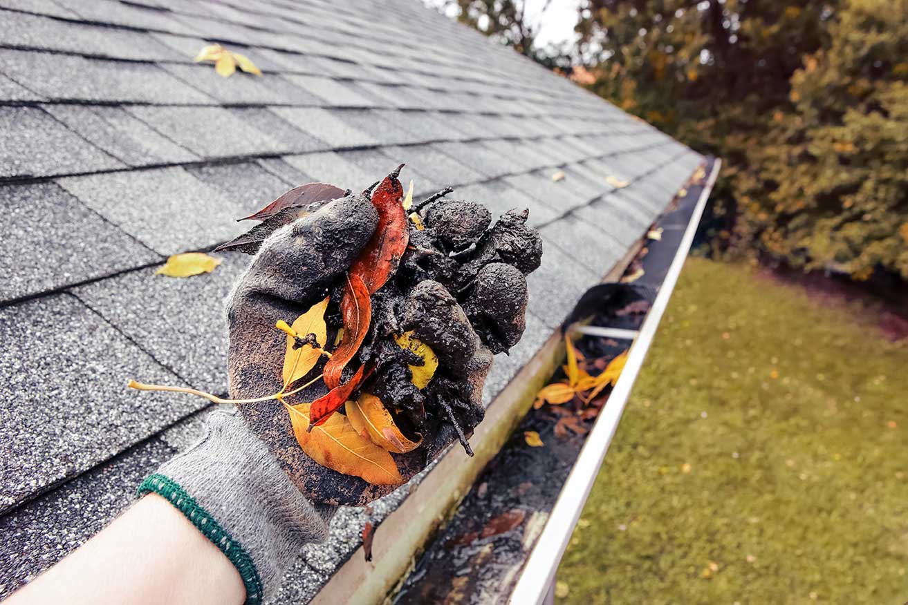 The 5-Second Trick For Gutter Cleaning