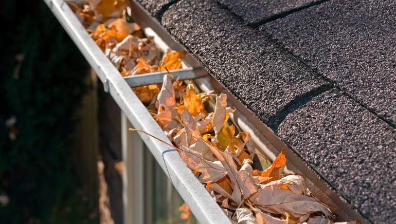 Gutter Cleaning Fundamentals Explained