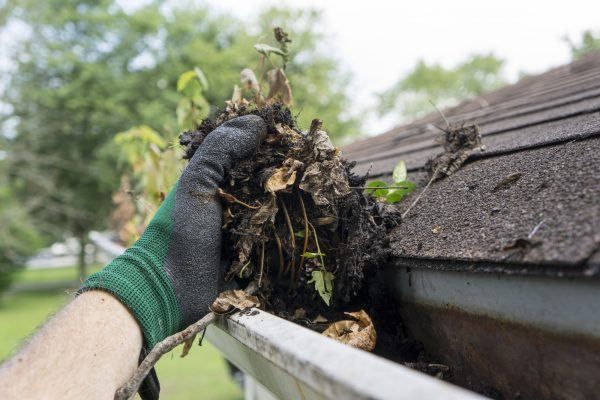 Not known Facts About Gutter Cleaning